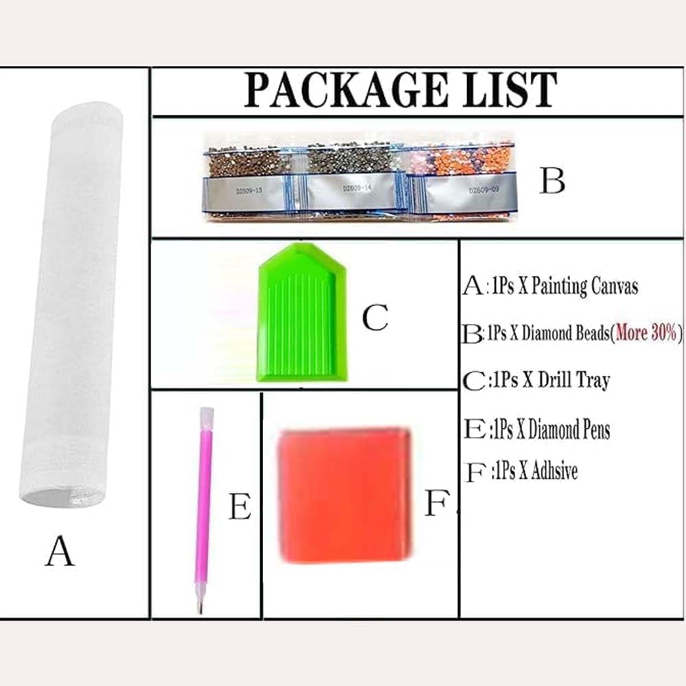 Kits de Pintura com Diamantes  - Resin Art For Beginner avaliação e preço