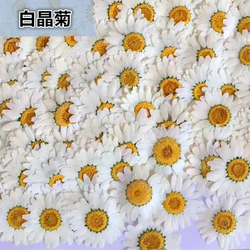 100 Peças de Cristal Branco Na - Resin Art Stone avaliação e preço