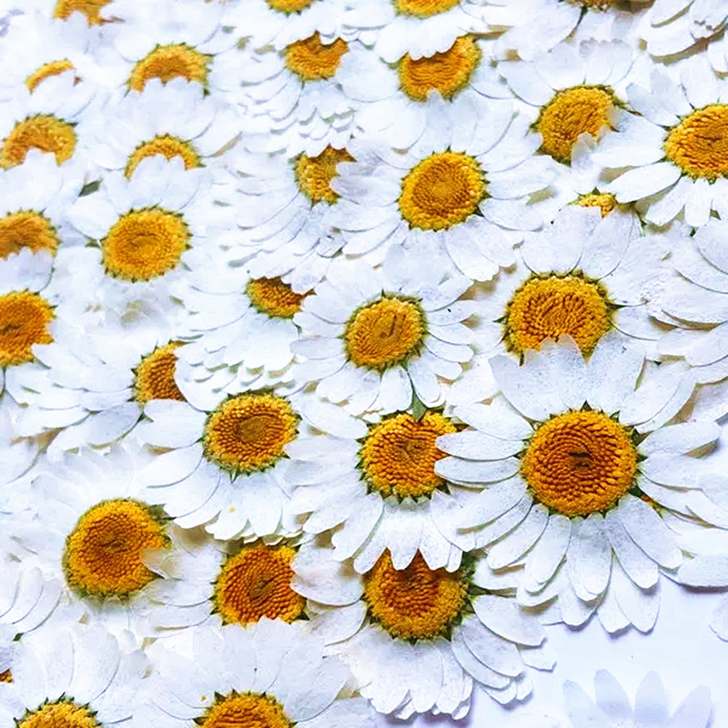 100 Peças de Cristal Branco Na - Resin Art Stone avaliação e preço