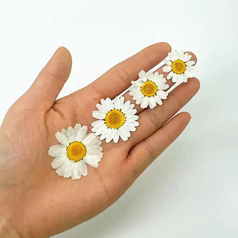 100 Peças de Cristal Branco Na - Resin Art Stone avaliação e preço